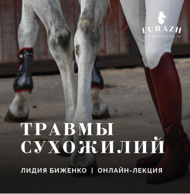 Лекция: Травмы сухожилий и связок. Что делать?