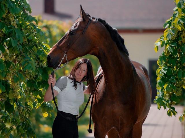Поло Dressage с рисунком на спине (бежевый)