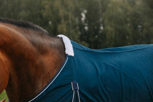 Попона денниковая AM Stable Performance - Luxury cotton (т.синий)