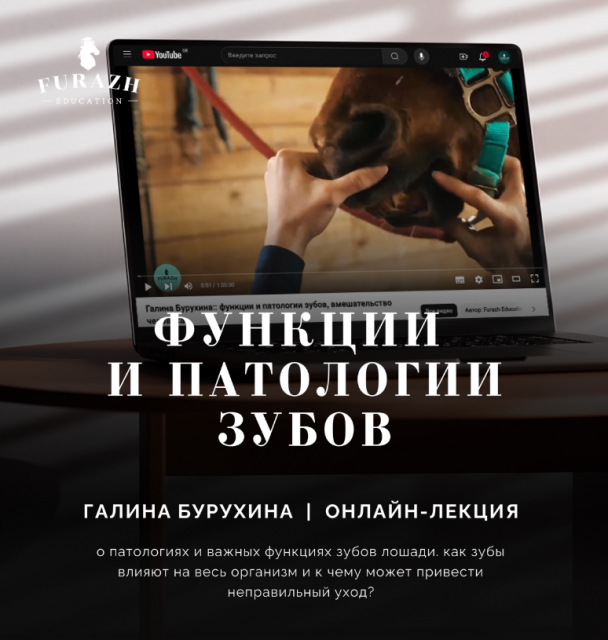 Лекция: Балансировка зубов лошади по методу Natural Balance Dentistry_Часть 2. Функции и патологии зубов