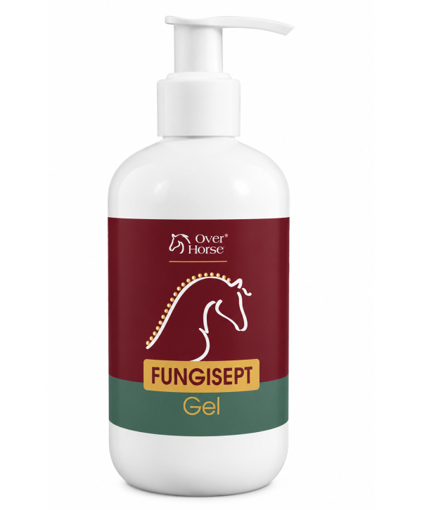 Гель FUNGISEPT GEL