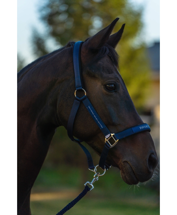 Недоуздок FAVORITE HORSE Comfort (синий)