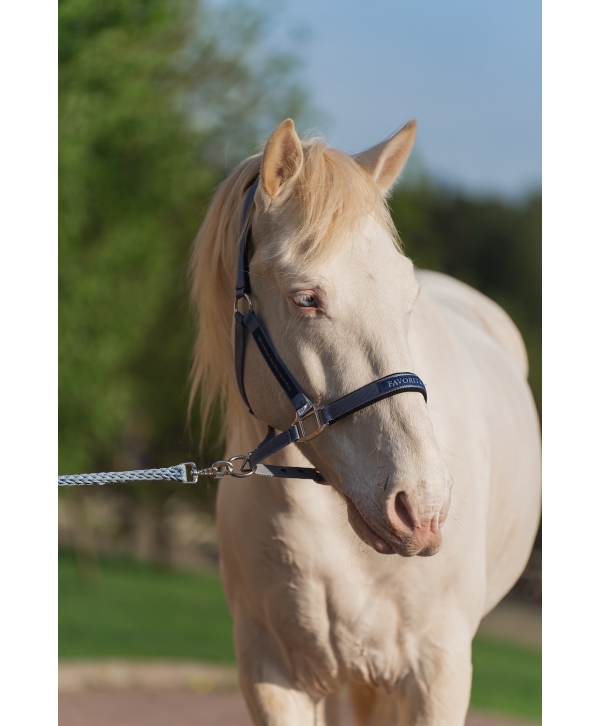 Недоуздок FAVORITE HORSE Comfort (голубой)