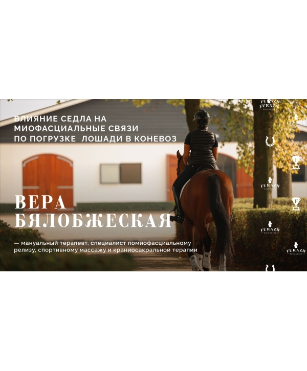 Лекция: Влияние положения седла на качество движений лошади