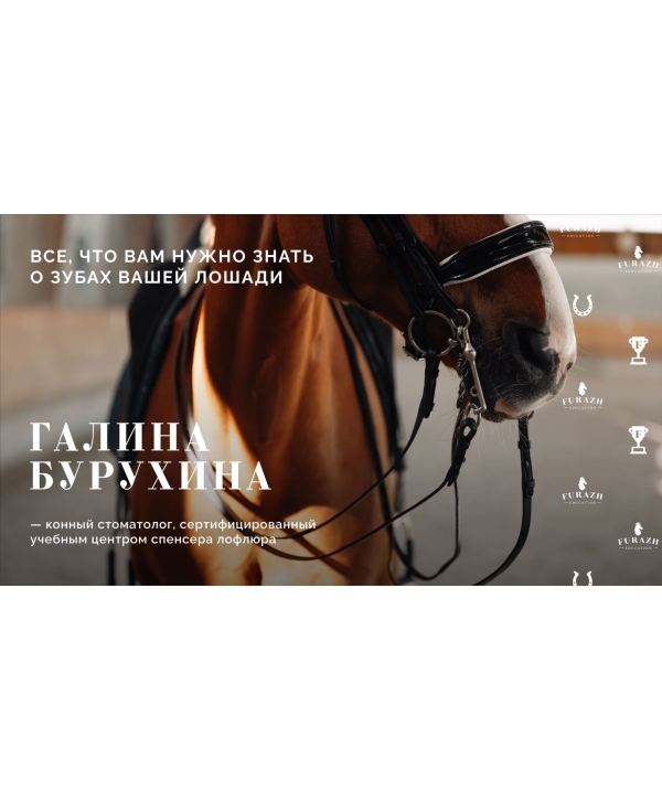 Лекция: Балансировка зубов лошади по методу Natural Balance Dentistry_Часть 3. Подход Natural Balance Horse Dentistry