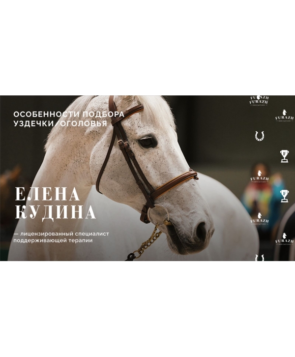 Лекция: 24 поведенческих признака боли у лошади при работе под седлом