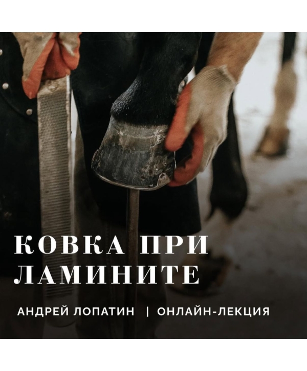 Лекция: Терапевтическая ковка при ламините