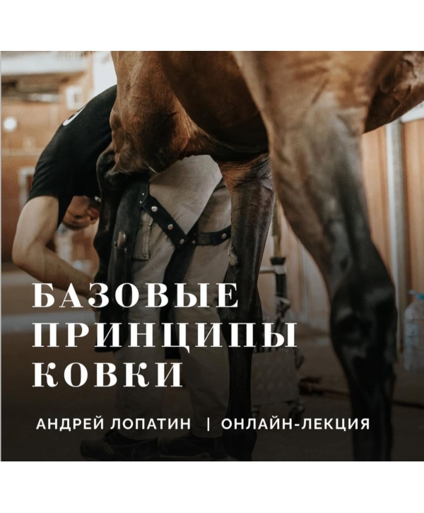 Лекция: Базовые принципы ковки