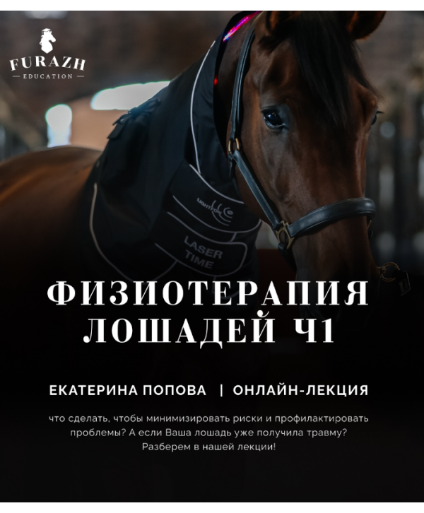 Лекция: Физиотерапия лошадей _ Часть 1