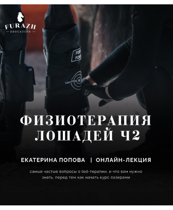 Лекция: Физиотерапия лошадей _ Часть 2
