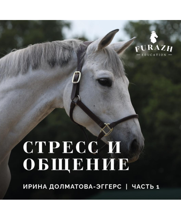Лекция: Психология лошади _ Часть 1. Стресс и общение лошади с человеком