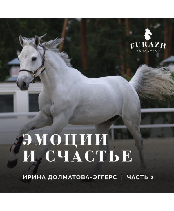 Лекция: Психология лошади _ Часть 2. Эмоции, счастье и отношения лошади. 