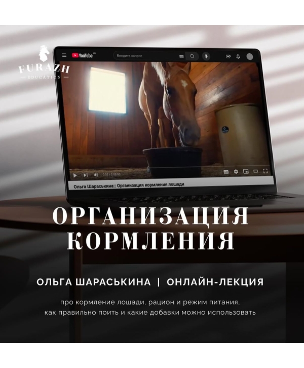 Лекция: Организация кормления лошади