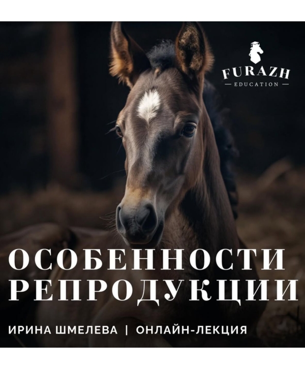 Лекция: Особенности репродукции лошади