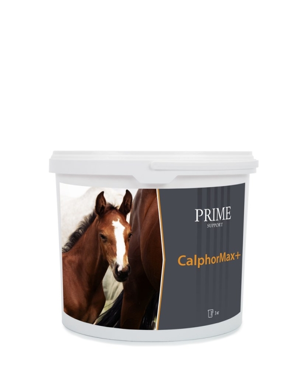CalphorMax+ — крепкие кости и правильный рост