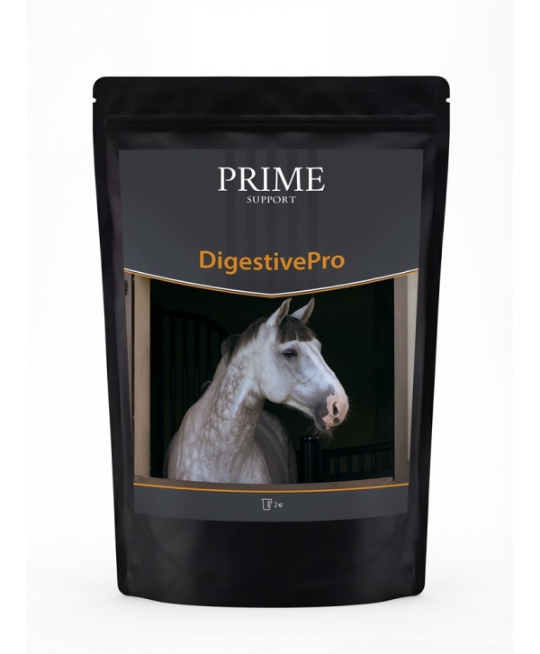 Digestive Pro — поддержка кишечника и микрофлоры