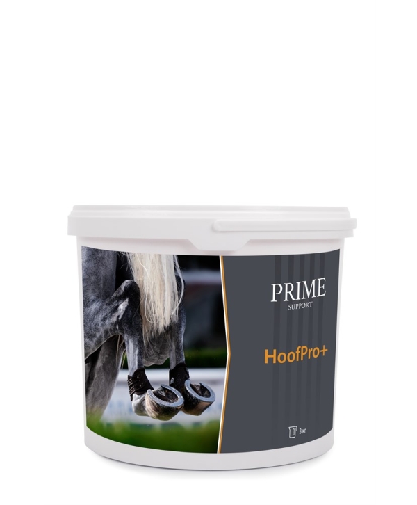 Hoof Pro + укрепление копытного рога