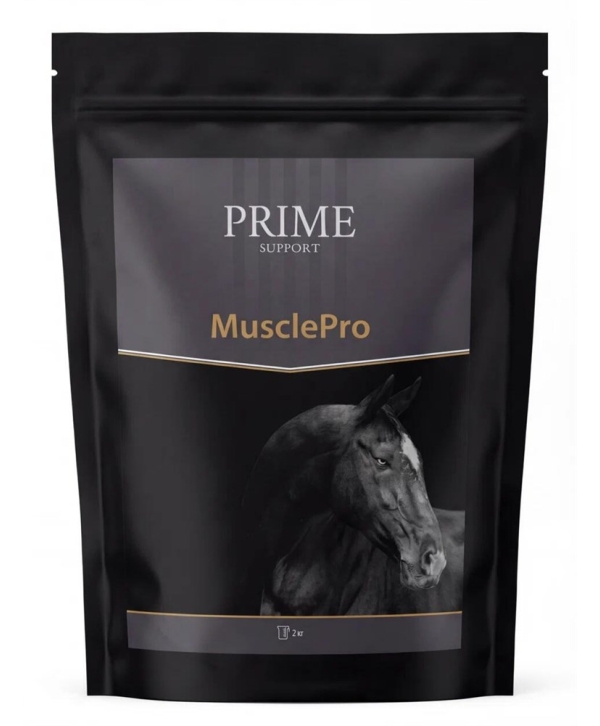 MusclePro — профилактика мышечного перенапряжения и усталости