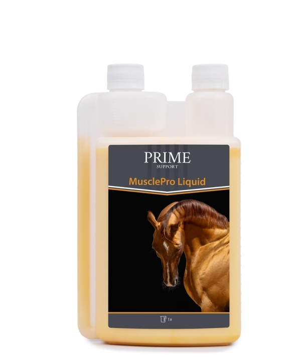 MusclePro Liquid — сила, выносливость и восстановление