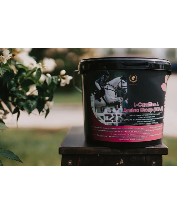 L-carnetin& Amino - энергия, BCAA и восстановление для спортивных лошадей