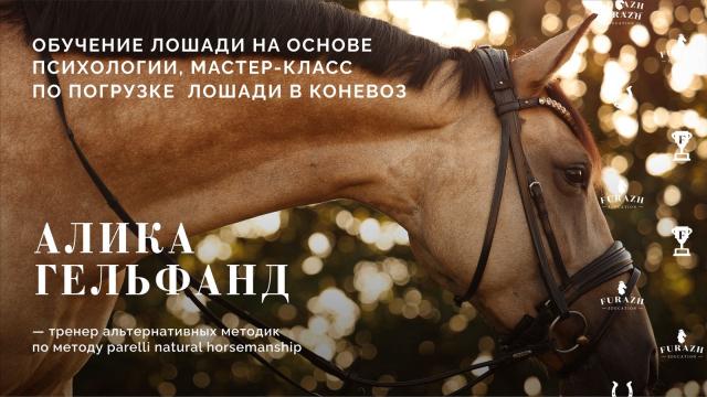 Лекция: Мастер-класс по погрузке лошади в коневоз