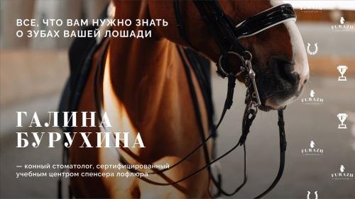 Лекция: Балансировка зубов лошади по методу Natural Balance Dentistry_Часть 1. Анатомия зубов