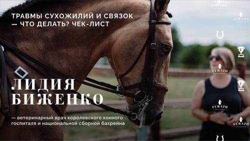 Лекция: Травмы сухожилий и связок. Что делать?