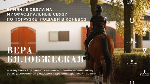 Лекция: Влияние положения седла на качество движений лошади