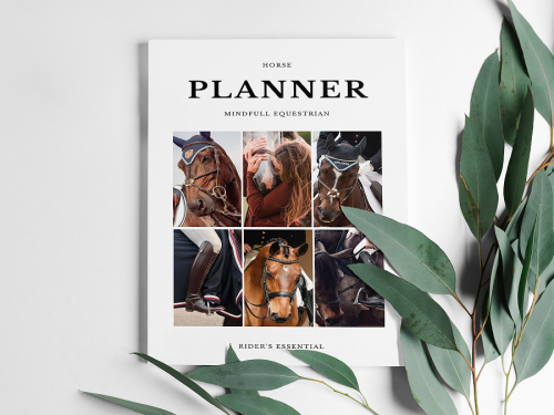 Ежедневник на кольцах Planner Transformer