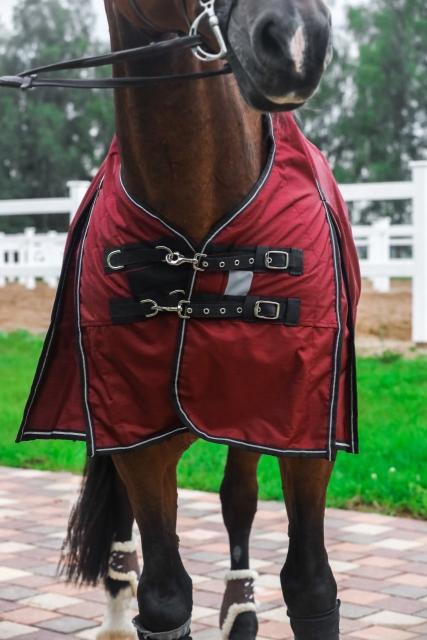 Попона дождевая AM Outdoor Rain Style with fleece (бордовый)