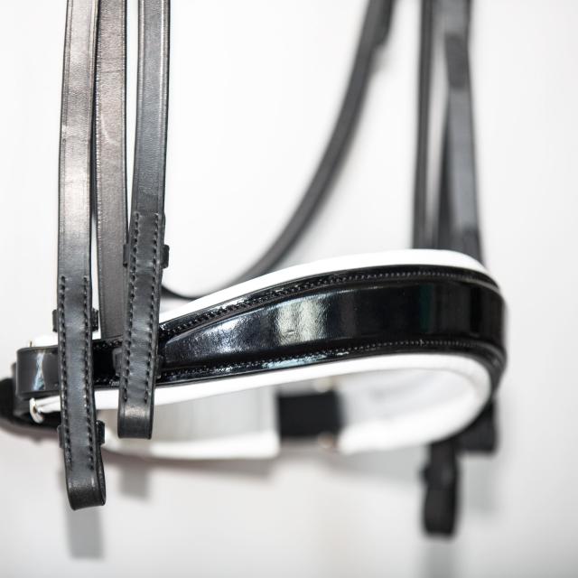 Оголовье Аlexandre Mason, лаковый изогнутый капсюль, налобник с кристаллами (белые/голубые)