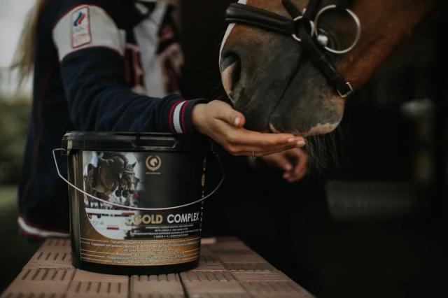 GOLD COMPLEX — Omega-3, аминокислоты и витамины для мышц, шерсти и восстановления лошадей.