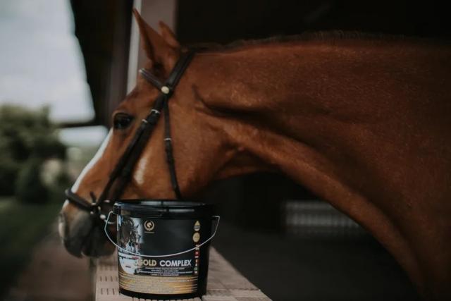 GOLD COMPLEX — Omega-3, аминокислоты и витамины для мышц, шерсти и восстановления лошадей.