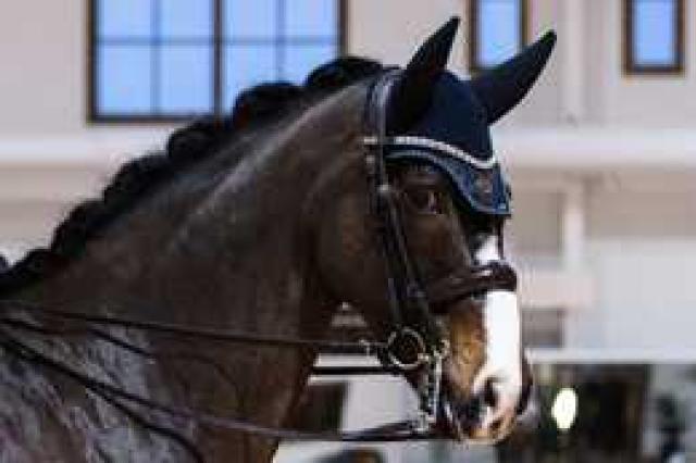 Fly Hat Stripe True Blue