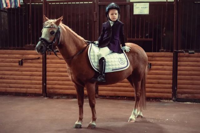 Вальтрап AM pony M58PS