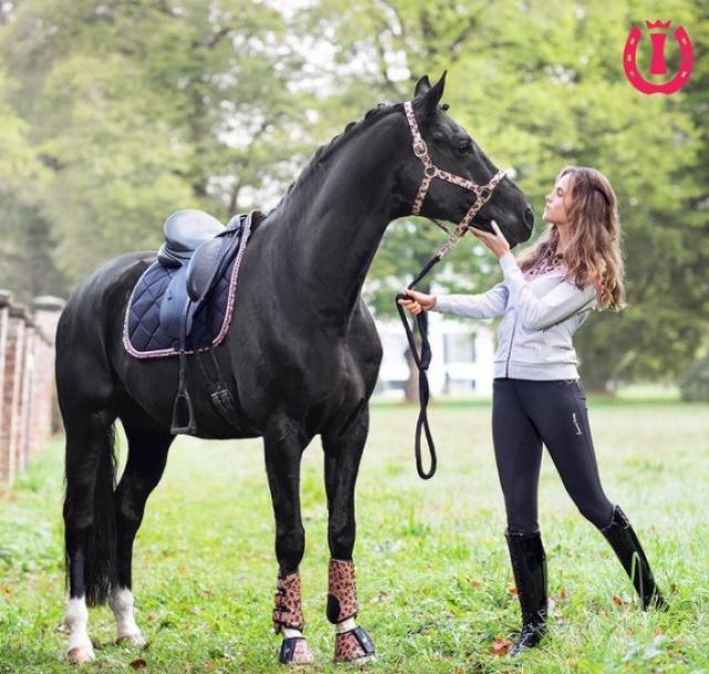 Ногавки Dressage tendon boots Love Your Life Pattern
