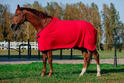 Попона AM Show cooler fleece М2