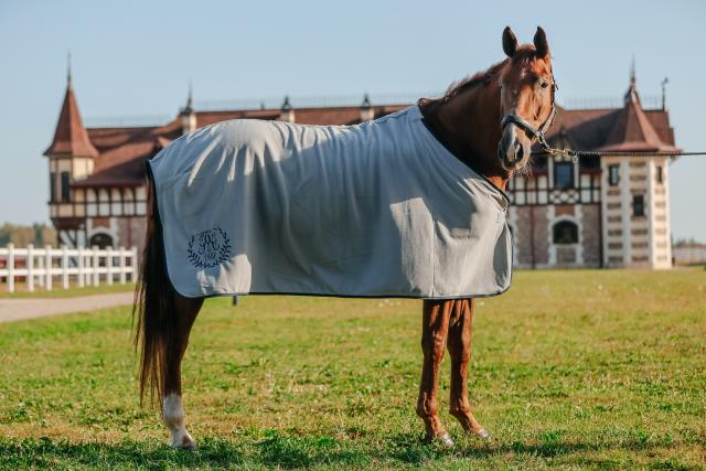 Попона AM Show cooler fleece М87